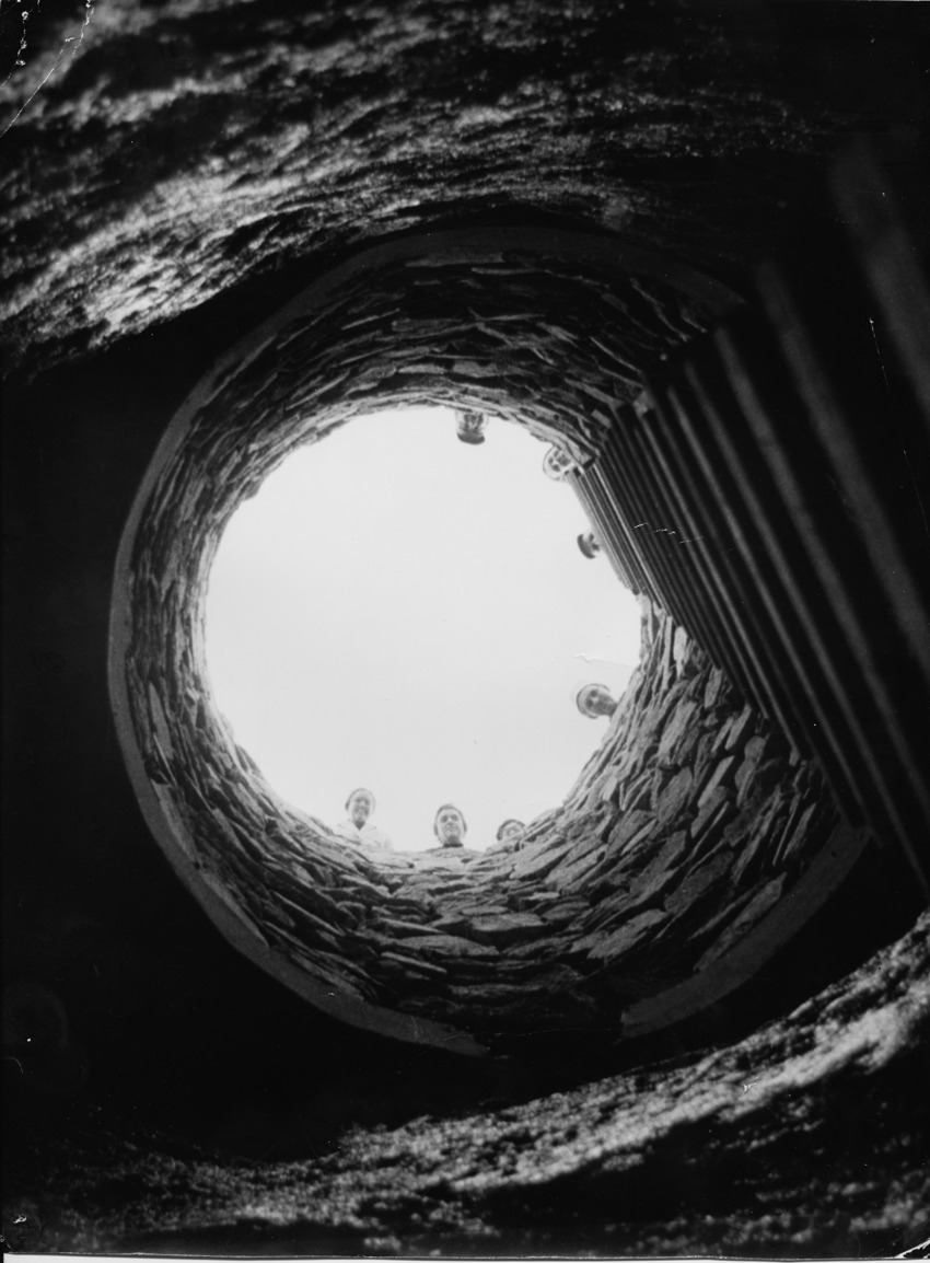 Månedens bilde november