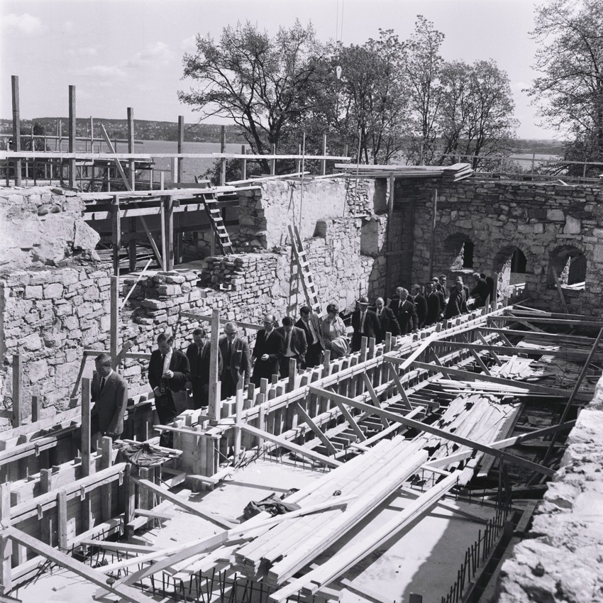 Månedens bilde oktober