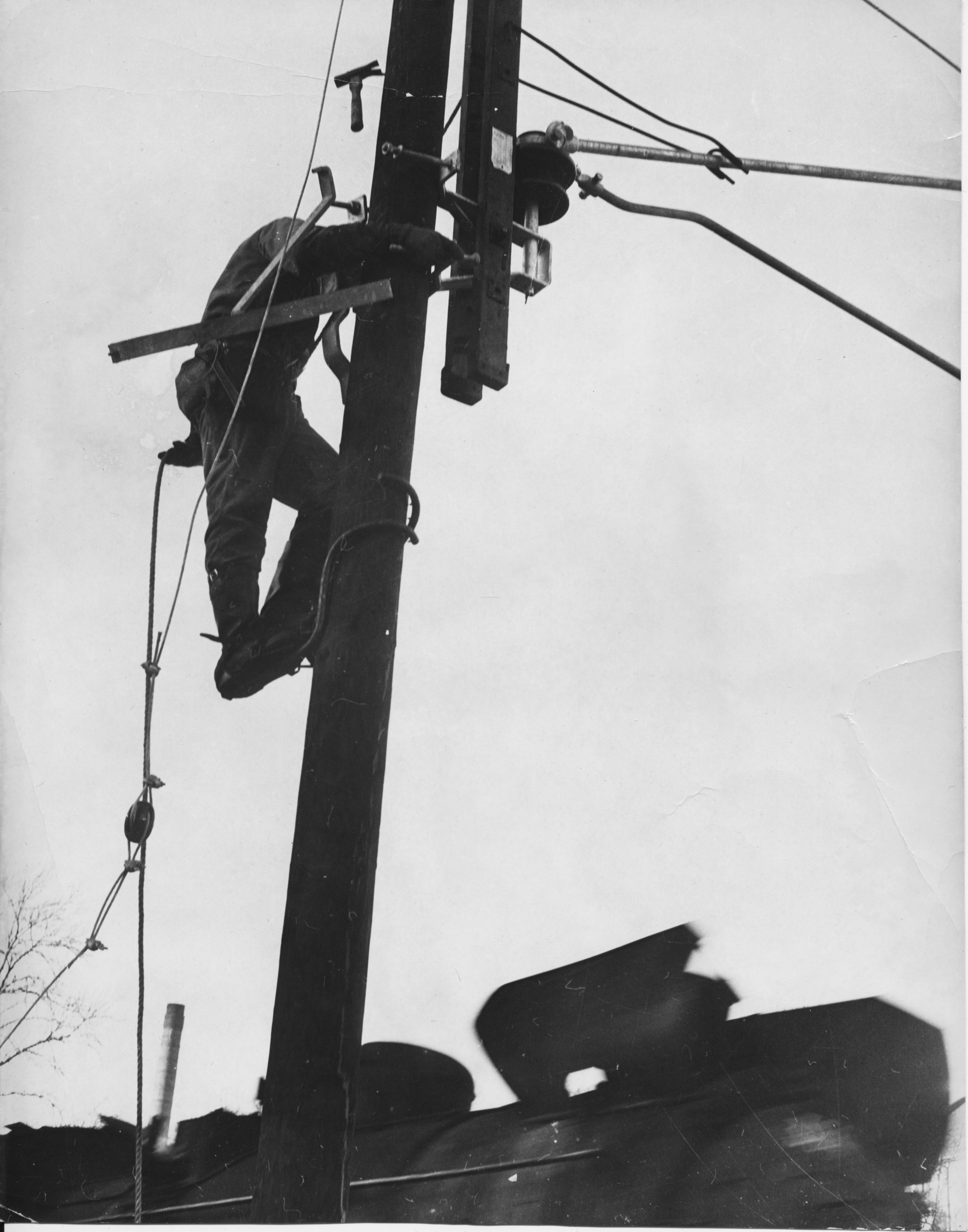 Månedens bilde januar